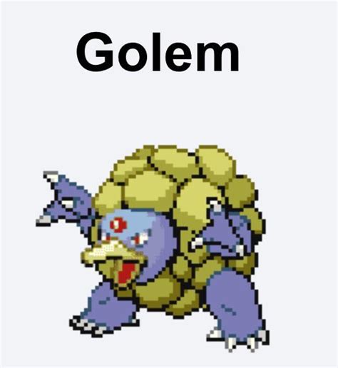 golem smogon|golem pokemon smogon.